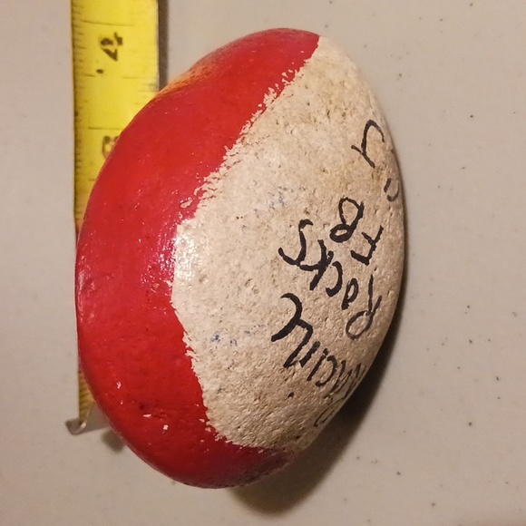 Crow Skull Painted Art Rock Stone Paper Weight #eshopchicago RARE Original - Picture 4 of 6